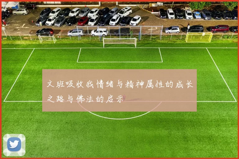 文班吸收我情绪与精神属性的成长之路与佛法的启示