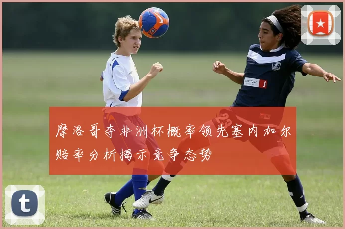 摩洛哥夺非洲杯概率领先塞内加尔赔率分析揭示竞争态势