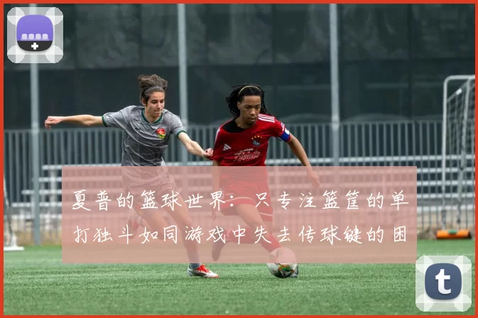 夏普的篮球世界：只专注篮筐的单打独斗如同游戏中失去传球键的困境